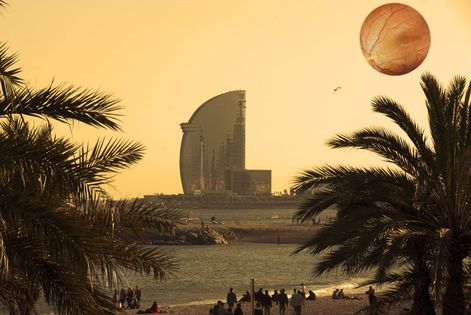 Excelencia M&eacute;dica