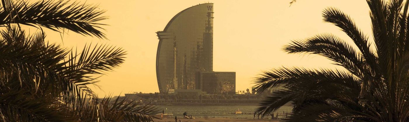 Excelencia M&eacute;dica