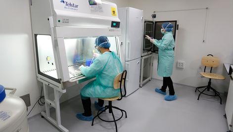 Nuevo avance de Fundaci&oacute;n IMO para el tratamiento de enfermedades de la retina sin cura