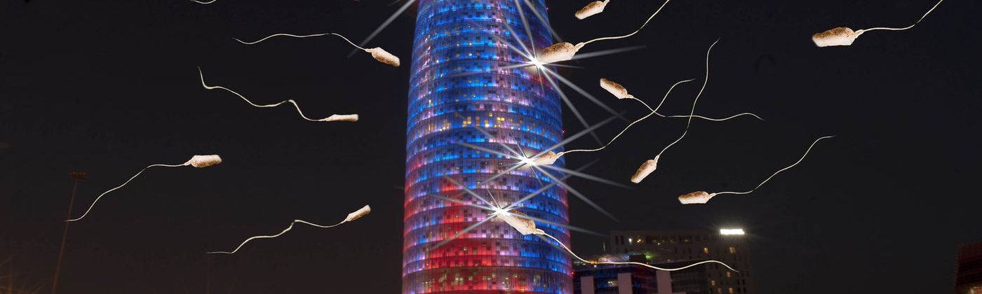 Hacemos todo lo posible para que te sientas como en casa